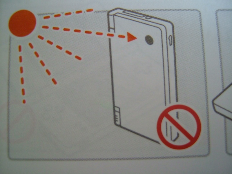 Illustration for article titled Hey Dummy, Don't Microwave The DSi (And Other Nintendo Tips)
